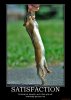 satisfaction-squirrel-nuts-demotivational-poster-1229918653.jpg