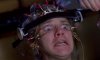 001010f3_medium.jpeg