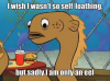 untitled.png
