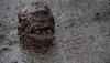 mudmad.jpg