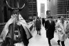moodog-over-manhattan1.jpg