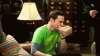 PresentShimmeringAngelwingmussel-small.gif