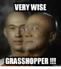 very-wise-grasshopper-memes-com-17713457.png