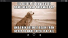 Screenshot_2019-06-12-17-41-26-18.png