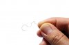 istockphoto-864933688-612x612.jpg