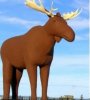statue-moose-mac-storelgen-toursim-moose-jaw-storelgen-no-635x357.jpg