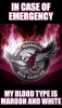 080B2824-AF95-4645-BB81-0BEF5B0E1FEC.png