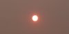 C5657554-6F1E-44D4-8392-9C8CD1867A67.jpeg