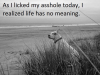 1591590038681.png