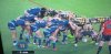 Scrum.jpg