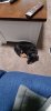 IMG-20200905-WA0008.jpeg