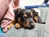 20200904_222910.jpg