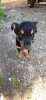 IMG-20200905-WA0001.jpeg