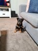 20200905_195338.jpg