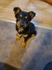 20200911_193535.jpg
