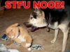 20201006_144437.jpg