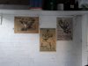 20201015_162742.jpg