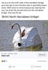 FB_IMG_1608712785830.jpg
