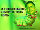 1630195709244.png
