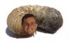 grub.jpg