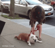 Hxvk1oWNaV42Y (1).gif