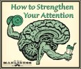 Strengthen-Attention-2-2788582846.jpg