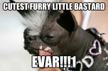 1664924572455.png