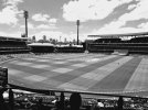 SCG Ladies + Members stand II.jpg