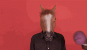 mPf5pY8MIPxCw.gif