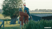 TIiIp00ViwHUuc7YqX.gif