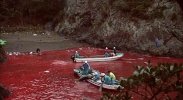 taiji11.jpg