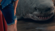 Pl3hc2u2A2ktW.gif