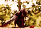 BpLihDAKKYSL6.gif