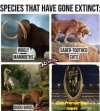 FB_IMG_1691782322072.jpg
