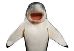 1720173126246.png