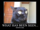 What Has Been Seen.jpg