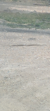 Screenshot_20241012-124726.png