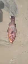 20250311_115608.webp