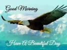 1743721491317.webp