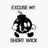 1744420796977.webp