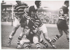 ManlyWestsSCG1955.png