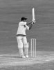 hanif337.jpg