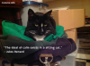 _The ideal of calm exists in a sitting cat._- Jules Renard(1).png