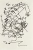borges-self-portrait-blind.jpg