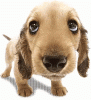 IMG_6524.GIF