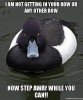 images (10).jpeg