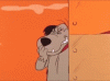 A9A6541F-CD98-4D35-8476-A6B2174458E6.gif