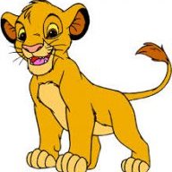 Lyon King