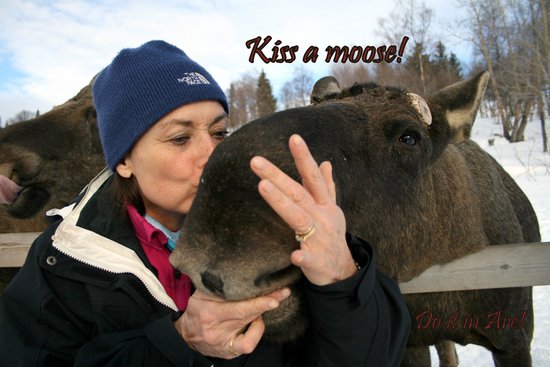 moose-kiss.jpg