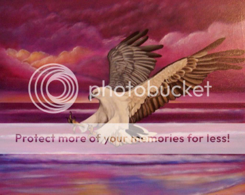 seaeagle.jpg